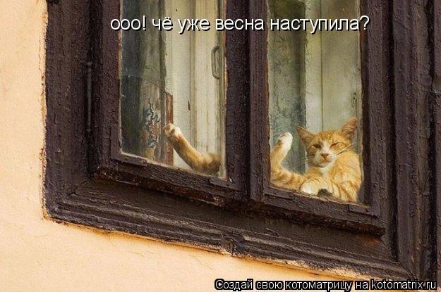 ооо! чё уже весна наступила? ооо! чё уже весна наступила?... Котоматрица: ооо! чё уже весна наступила? ооо! чё уже весна наступила?