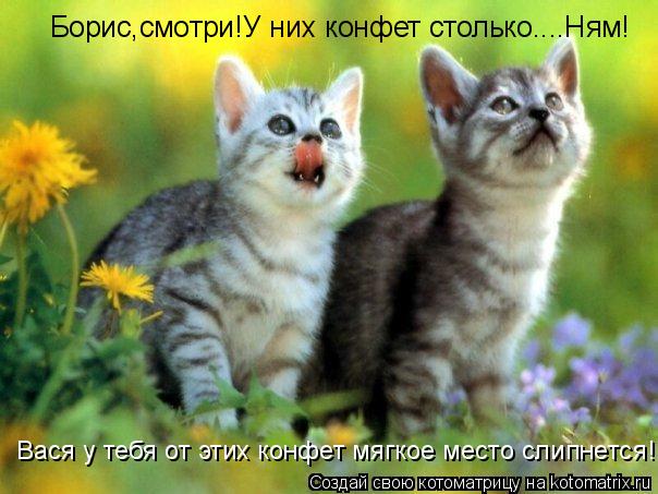 Борис,смотри!У них конфет столько....Ням! Вася у тебя от этих конфет мягкое место слипнется!... Котоматрица: Борис,смотри!У них конфет столько....Ням! Вася у тебя от этих конфет мягкое место слипнется!