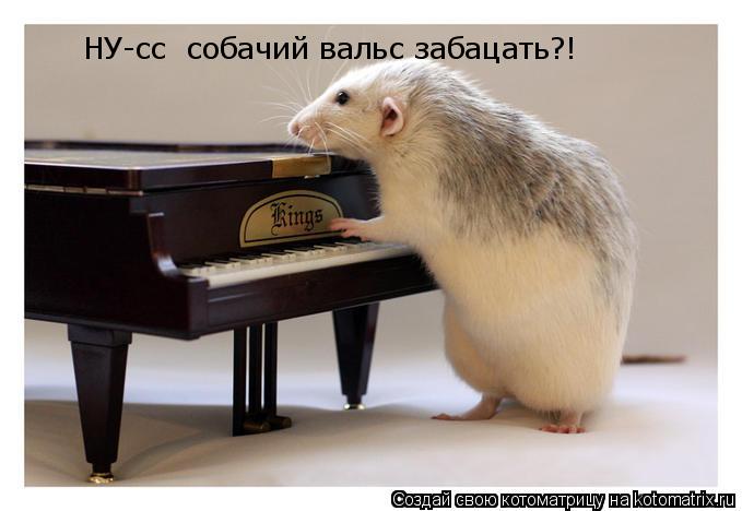 Котоматрица: НУ-сс  собачий вальс забацать?!