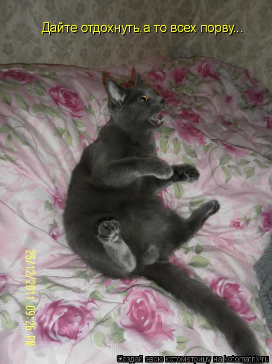 Котоматрица: Дайте отдохнуть,а то всех порву...