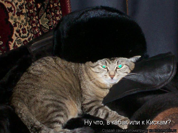 Котоматрица: Ну что, в кабак или к Кискам?