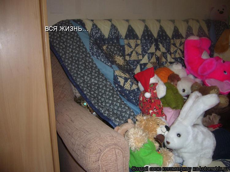 Котоматрица: вся жизнь...