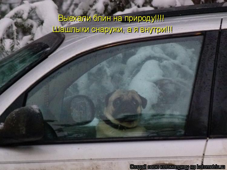 Котоматрица: Шашлыки снаружи, а я внутри!!! Выехали блин на природу!!!!