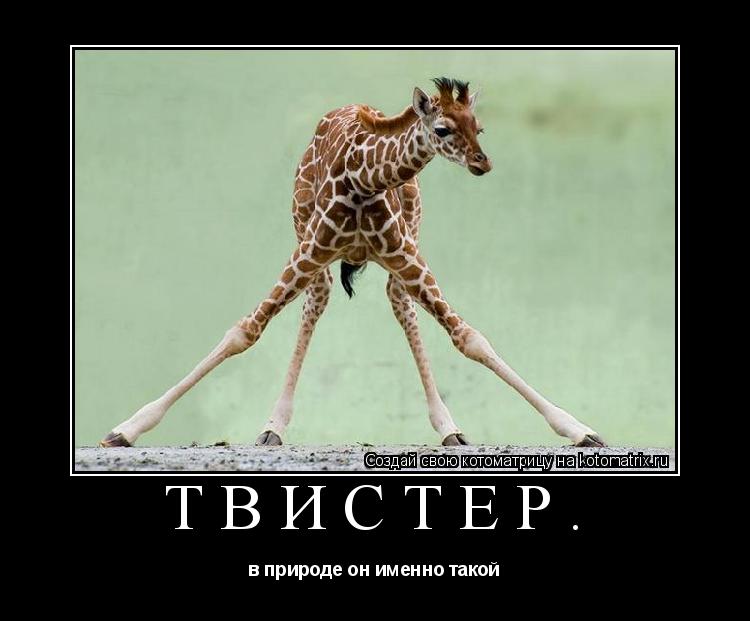 Твистер. в природе он именно такой... Котоматрица: Твистер. в природе он именно такой