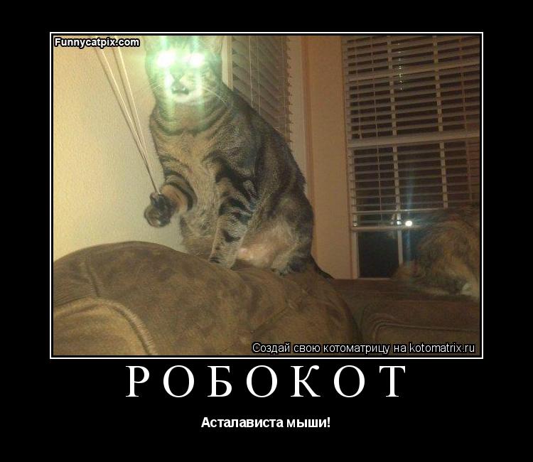 Котоматрица: РОБОКОТ Асталависта мыши!