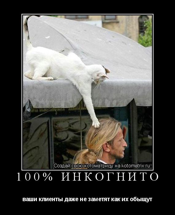 100% инкогнито ваши клиенты даже не заметят как их обыщут... Котоматрица: 100% инкогнито ваши клиенты даже не заметят как их обыщут