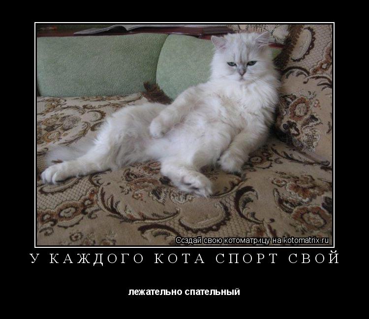 Котоматрица: У каждого кота спорт свой лежательно спательный