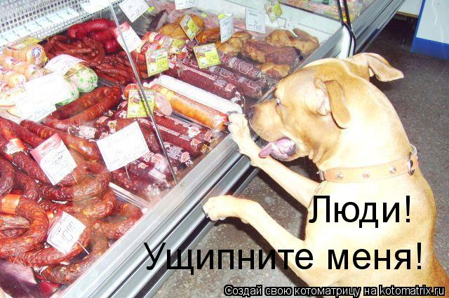Котоматрица: Люди! Ущипните меня!