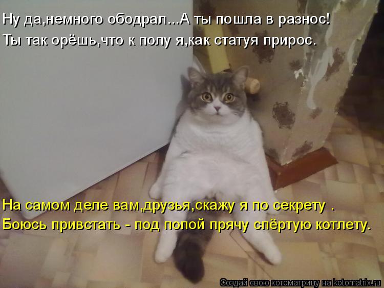 Ну да,немного ободрал...А ты пошла в разнос! Ты так орёшь,что к полу я,как статуя прирос. На самом де... Котоматрица: Ну да,немного ободрал...А ты пошла в разнос! Ты так орёшь,что к полу я,как статуя прирос. На самом деле вам,друзья,скажу я по секрету . Боюсь при
