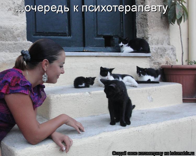 Котоматрица: ...очередь к психотерапевту