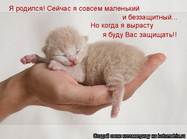 Котоматрица: Я родился! Сейчас я совсем маленький и беззащитный... Но когда я вырасту я буду Вас защищать!!