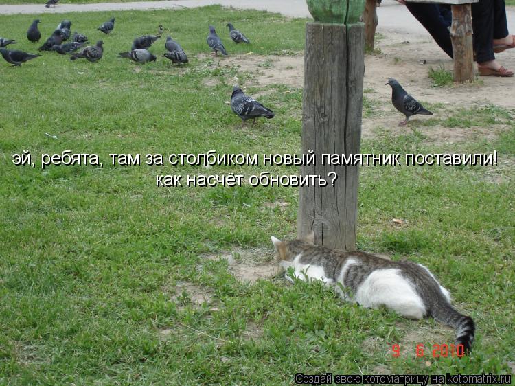 Котоматрица: эй, ребята, там за столбиком новый памятник поставили! как насчёт обновить?