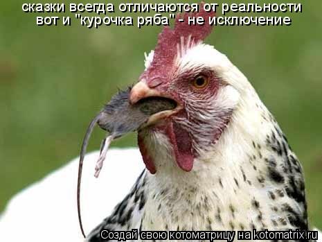 Котоматрица: сказки всегда отличаются от реальности вот и "курочка ряба" - не исключение