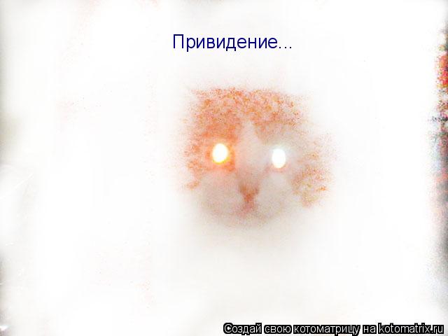 Котоматрица: Привидение...