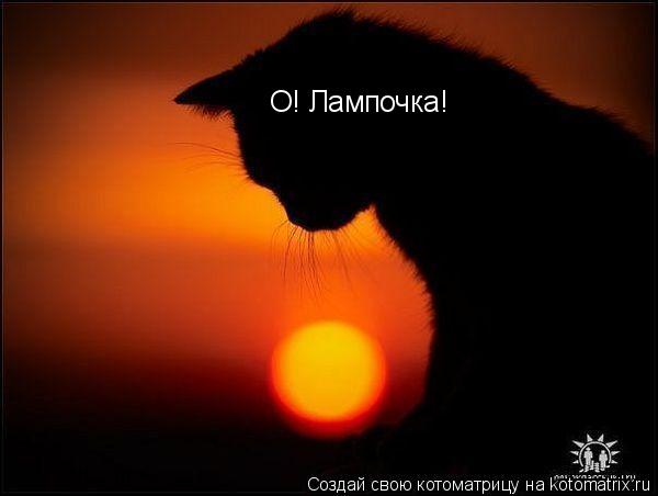 Котоматрица: О! Лампочка!