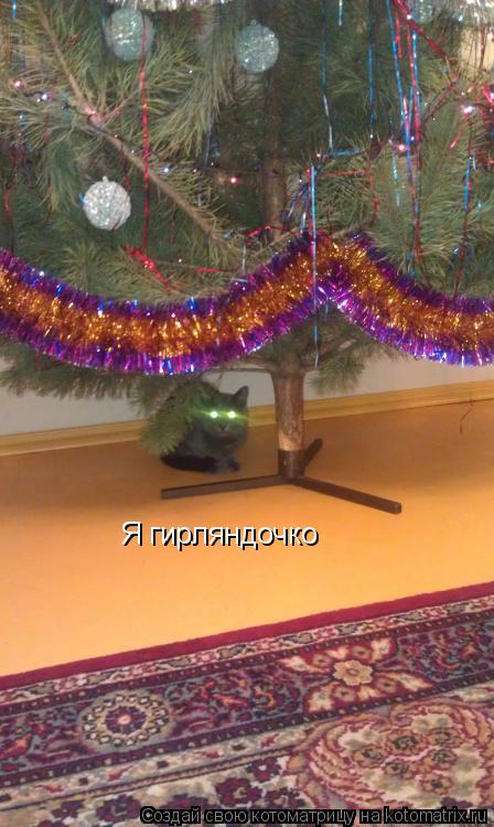Котоматрица: Я гирляндочко