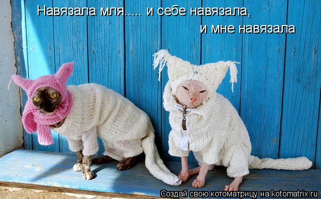 Котоматрица: Навязала мля..... и себе навязала,  и мне навязала