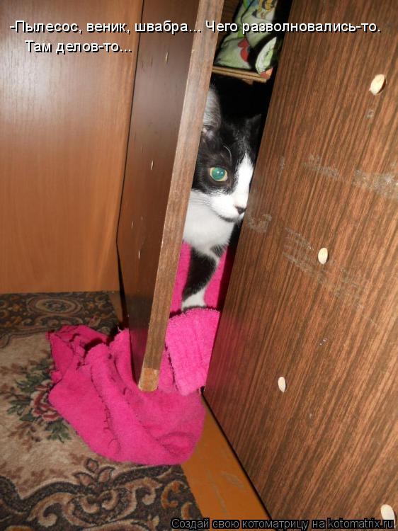 Котоматрица: -Пылесос, веник, швабра... Чего разволновались-то. Там делов-то...
