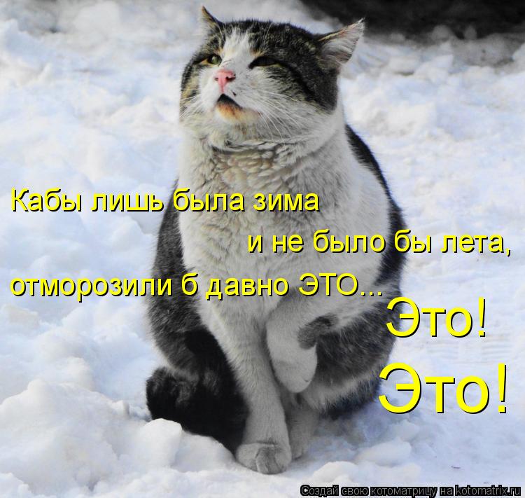 Кабы лишь была зима и не было бы лета, отморозили б давно ЭТО... Это! Это!... Котоматрица: Кабы лишь была зима и не было бы лета, отморозили б давно ЭТО... Это! Это!