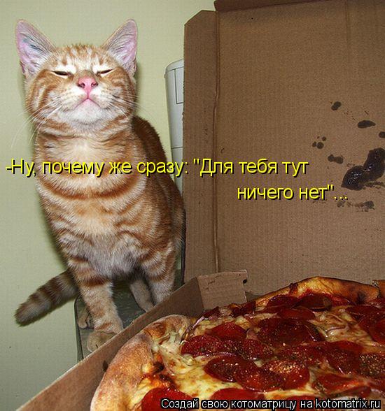Котоматрица: -Ну, почему же сразу: "Для тебя тут  ничего нет"...
