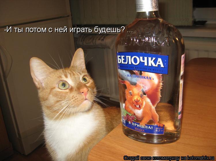 Котоматрица: -И ты потом с ней играть будешь? ...