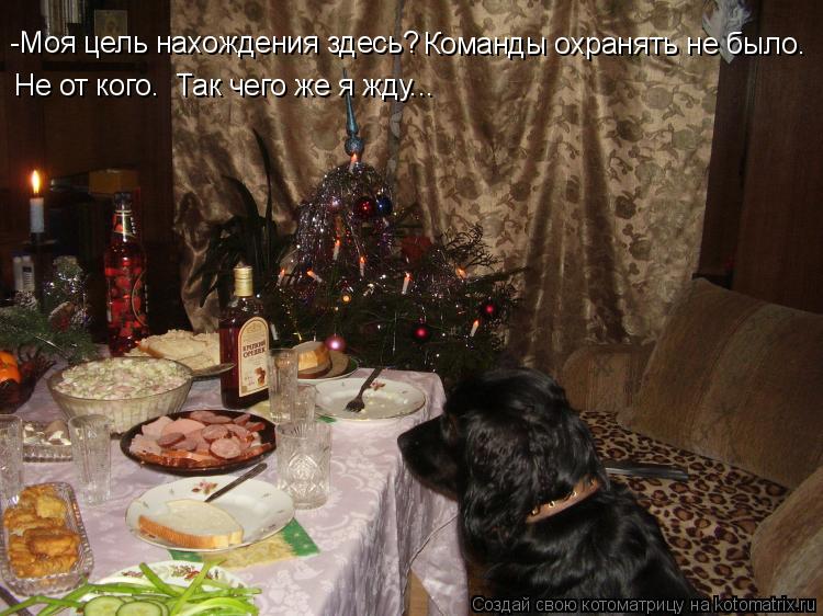 Котоматрица: -Моя цель нахождения здесь? Команды охранять не было.  Не от кого.  Так чего же я жду...