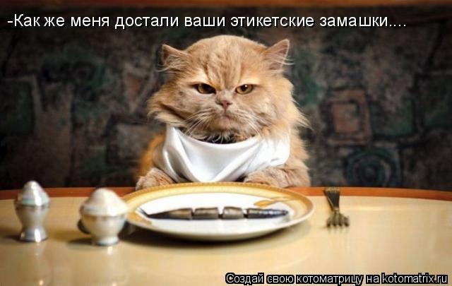 Котоматрица: -Как же меня достали ваши этикетские замашки....