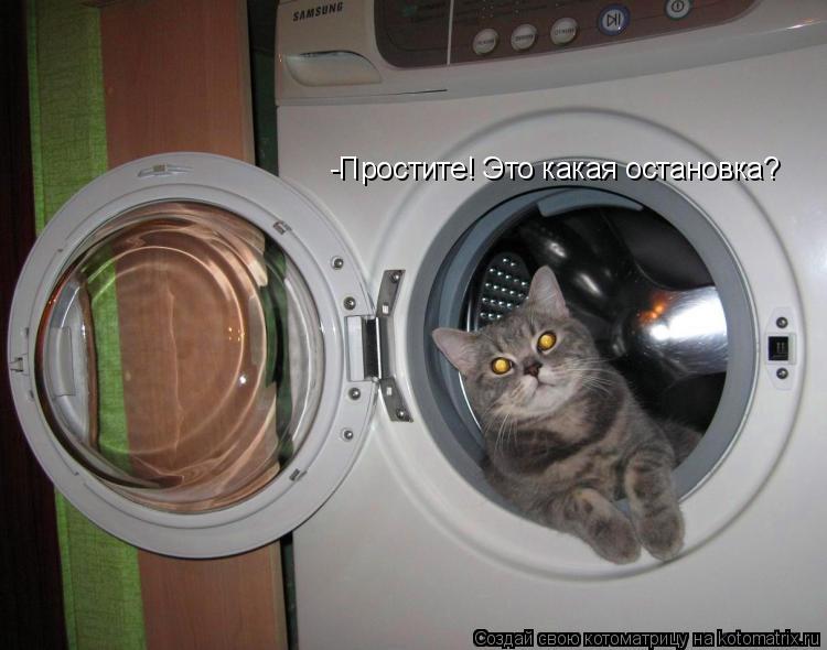 Котоматрица: -Простите! Это какая остановка?