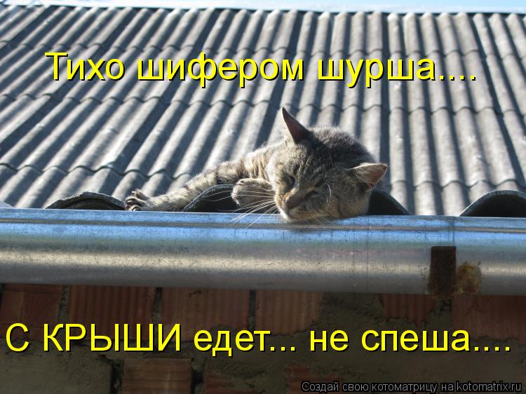 Тихо шифером шурша.... С КРЫШИ едет... не спеша....... Котоматрица: Тихо шифером шурша.... С КРЫШИ едет... не спеша....