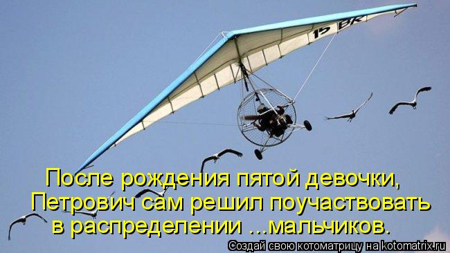 После рождения пятой девочки, Петрович сам решил поучаствовать в распределении ...мальчиков.... Котоматрица: После рождения пятой девочки, Петрович сам решил поучаствовать в распределении ...мальчиков.