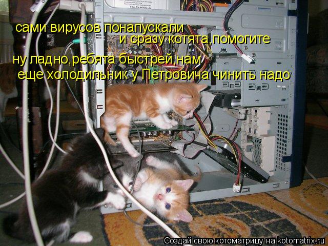 Котоматрица: сами вирусов понапускали и сразу котята,помогите ну ладно,ребята быстрей,нам еще холодильник у Петровича чинить надо