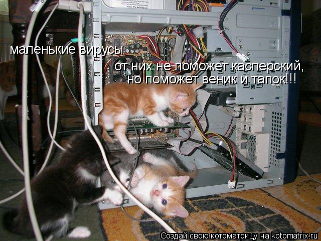 Котоматрица: маленькие вирусы от них не поможет касперский, но поможет веник и тапок!!!