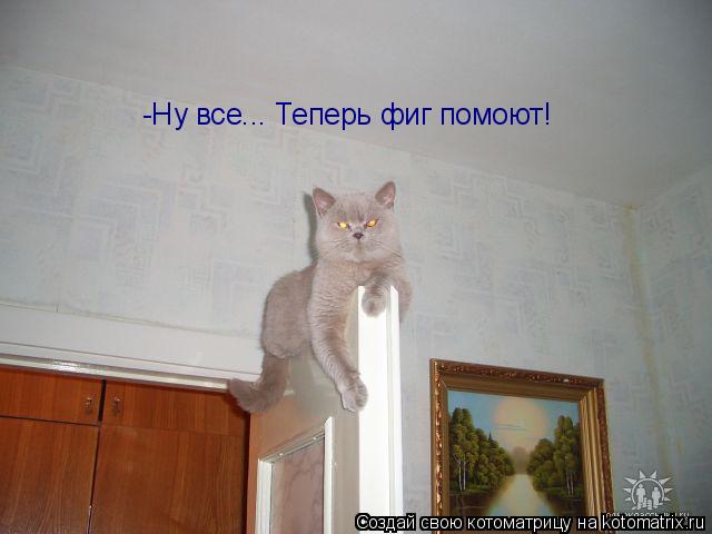 Котоматрица: -Ну все... Теперь фиг помоют!
