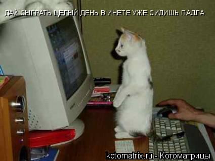 Котоматрица: ДАЙ СЫГРАТЬ ЦЕЛЫЙ ДЕНЬ В ИНЕТЕ УЖЕ СИДИШЬ ПАДЛА