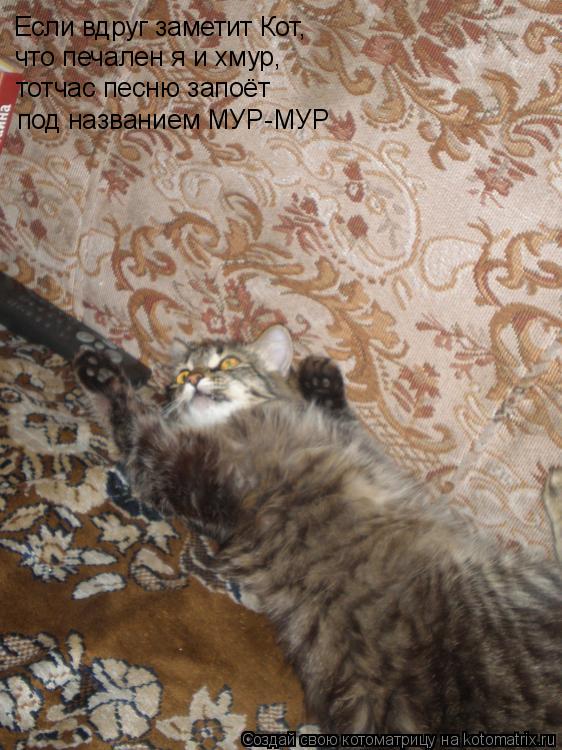 Котоматрица: Если вдруг заметит Кот, что печален я и хмур, тотчас песню запоёт под названием МУР-МУР