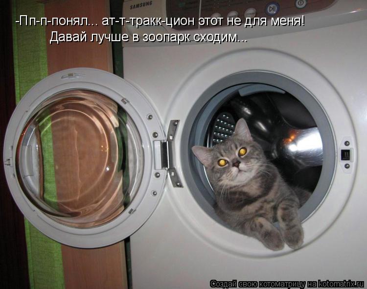 Котоматрица: -Пп-п-понял... ат-т-тракк-цион этот не для меня!  Давай лучше в зоопарк сходим...