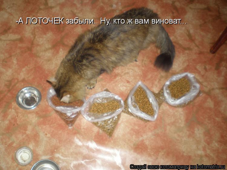 Котоматрица: -А ЛОТОЧЕК забыли.  Ну, кто ж вам виноват...