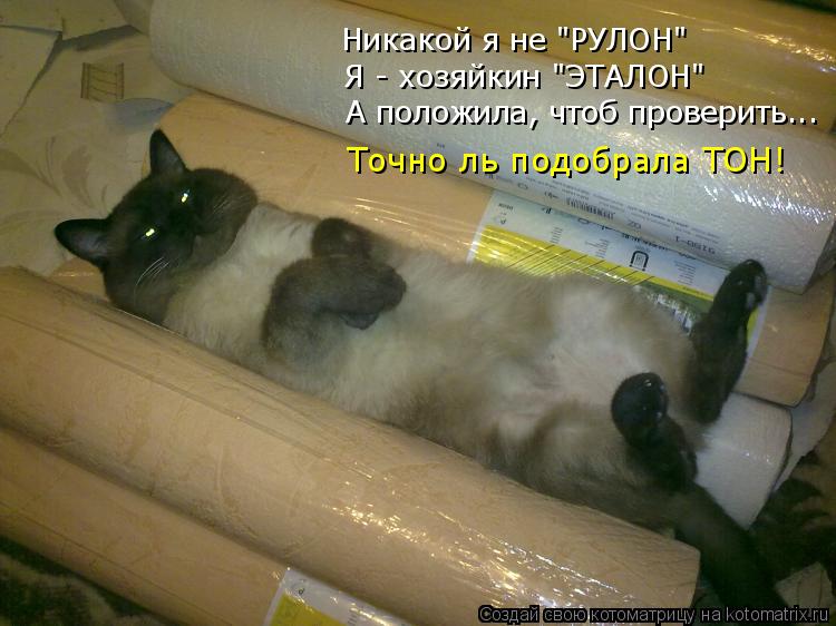 Никакой я не "РУЛОН" Я - хозяйкин "ЭТАЛОН" А положила, чтоб проверить... Точно ль подобрала ТОН!... Котоматрица: Никакой я не "РУЛОН" Я - хозяйкин "ЭТАЛОН" А положила, чтоб проверить... Точно ль подобрала ТОН!