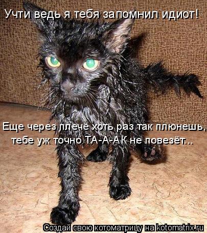 Котоматрица: Учти ведь я тебя запомнил идиот! Еще через плечё хоть раз так плюнешь, тебе уж точно ТА-А-АК не повезёт...