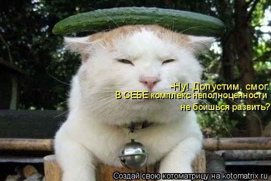 Котоматрица: -Ну! Допустим, смог. В СЕБЕ комплекс неполноценности  не боишься развить?