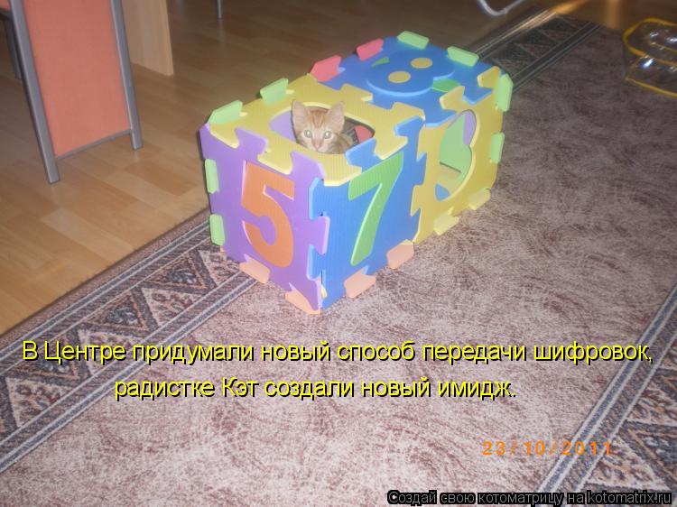 Котоматрица: В Центре придумали новый способ передачи шифровок, радистке Кэт создали новый имидж.