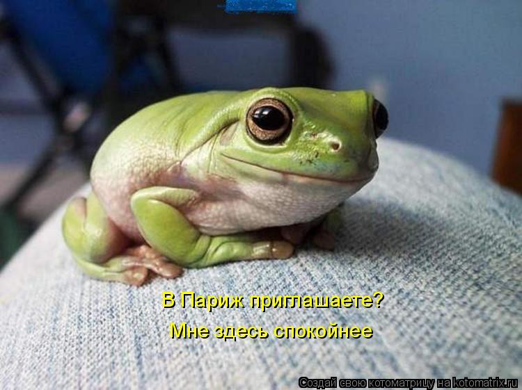 Котоматрица: В Париж приглашаете?  Мне здесь спокойнее