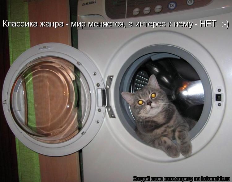 Котоматрица: Классика жанра - мир меняется, а интерес к нему - НЕТ.   :-)