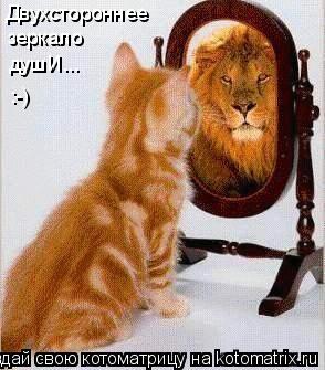 Котоматрица: Двухстороннее зеркало душИ... :-)