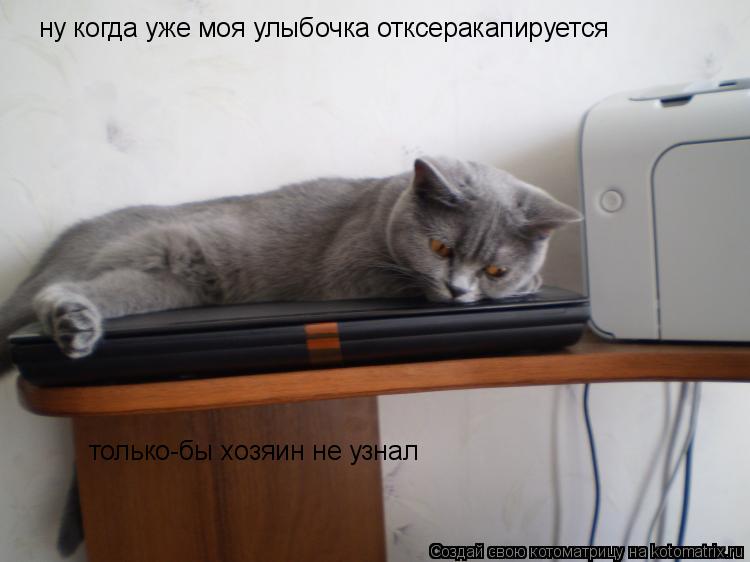 Котоматрица: ну когда уже моя улыбочка отксеракапируется только-бы хозяин не узнал