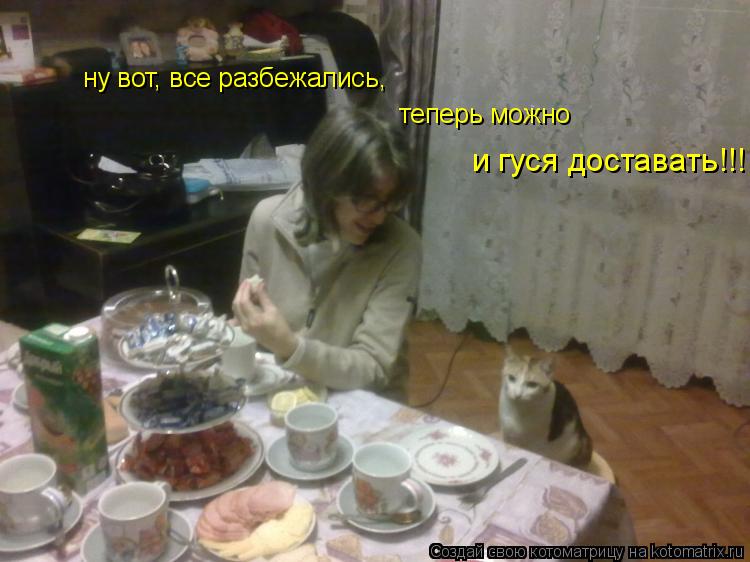 Котоматрица: ну вот, все разбежались, теперь можно  и гуся доставать!!!