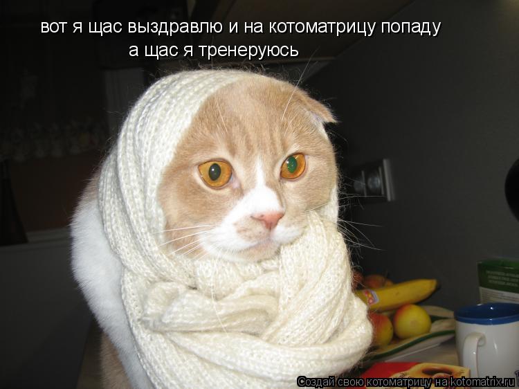 Котоматрица: вот я щас выздравлю и на котоматрицу попаду а щас я тренеруюсь