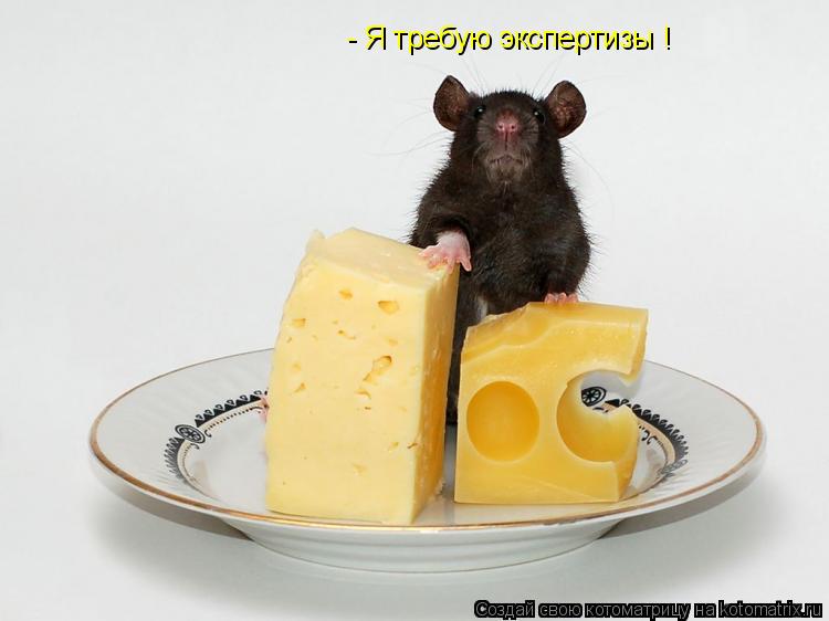 Котоматрица: - Я требую экспертизы !