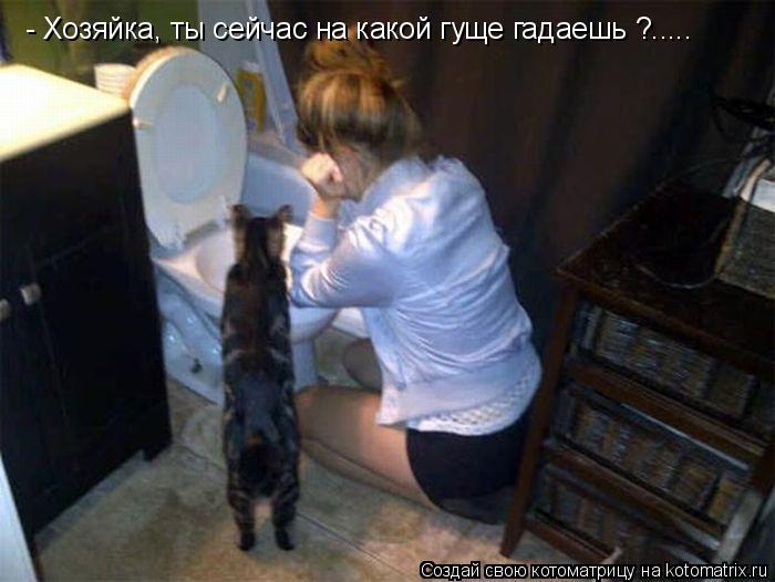 Котоматрица: - Хозяйка, ты сейчас на какой гуще гадаешь ?.....