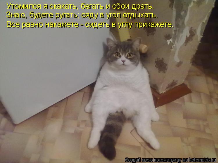 Котоматрица: Утомился я скакать, бегать и обои драть. Знаю, будете ругать; сяду в угол отдыхать. Все равно накажете - сидеть в углу прикажете.